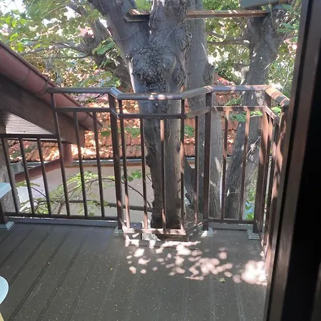 Хотел Вили Созопол